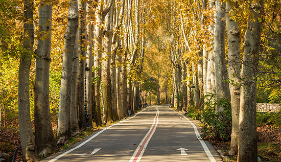 مناسبترین مناطق تهران برای پیاده روی در پاییز
