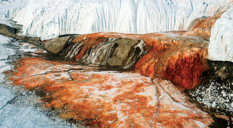 معرفی جاذبه های آبشار خون در قطب جنوب