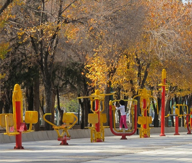 پارک آزادی شیراز ، قدیمی ترین و بزرگترین پارک شهر شیراز