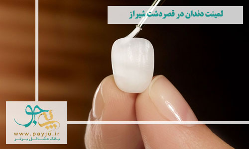  بهترین دندانپزشکان لمینت دندان در قصردشت شیراز