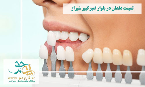 بهترین دندانپزشکان لمینت دندان در بلوار امیرکبیر شیراز