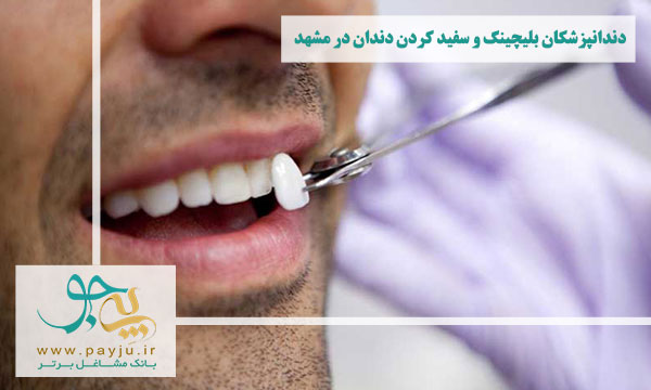 لیست دندانپزشکان بلیچینگ و سفید کردن دندان در مشهد