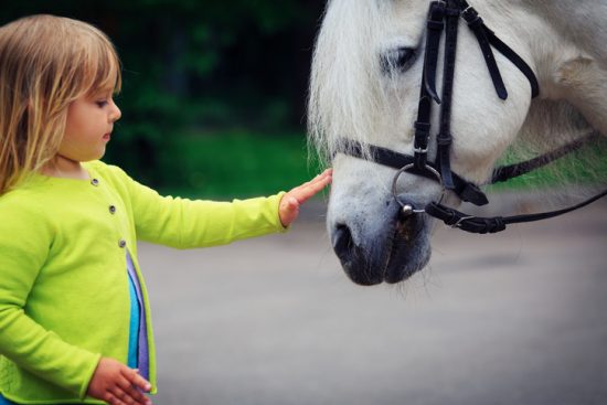 استفاده از اسب درمانی برای سلامت روانی