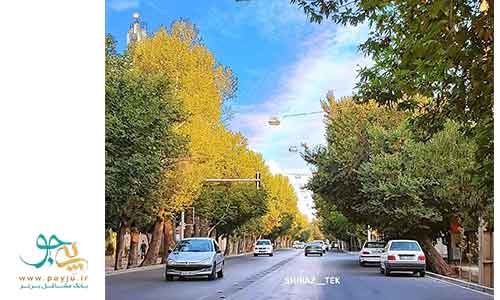 خیابان قصردشت شیراز