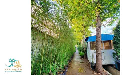 گلخانه های قصردشت شیراز