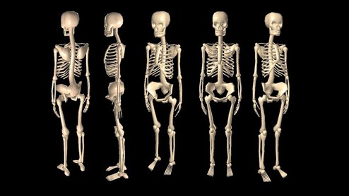 عوامل زیان بار و خطرناک برای سلامت استخوان ها