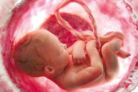 طب مادر و جنین یا پریناتولوژی چیست و چه وظایفی بر عهده دارند؟