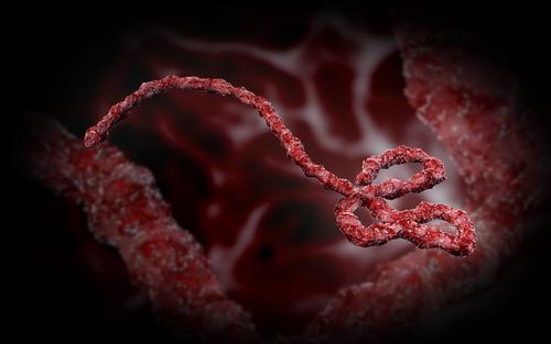 روش های پیشگیری از مبتلا شدن به ویروس ابولا یا ماربورگ