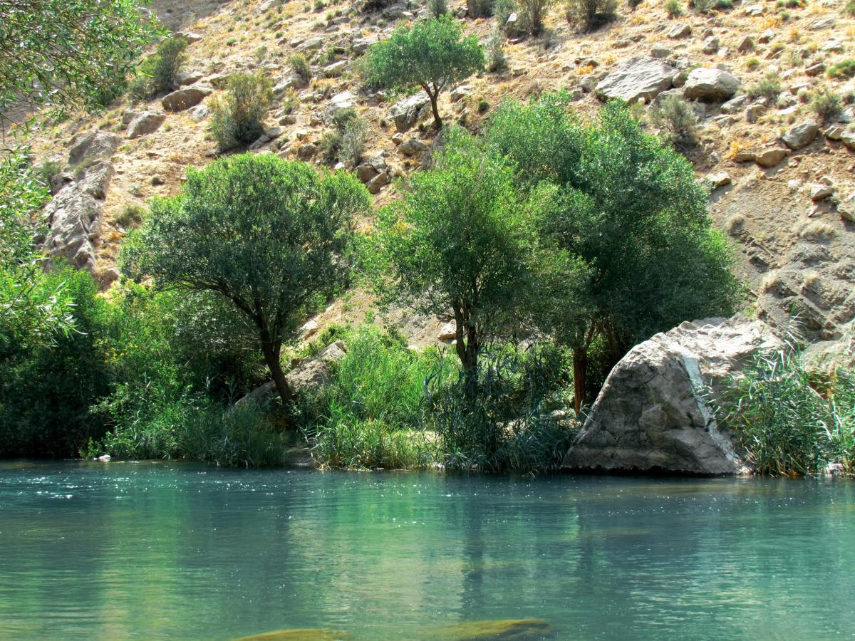 تنگ براق ، دره ای دیدنی و زیبا در استان فارس