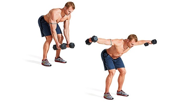 بهترین حرکات بدنسازی برای تقویت عضلات شانه و دلتوئید