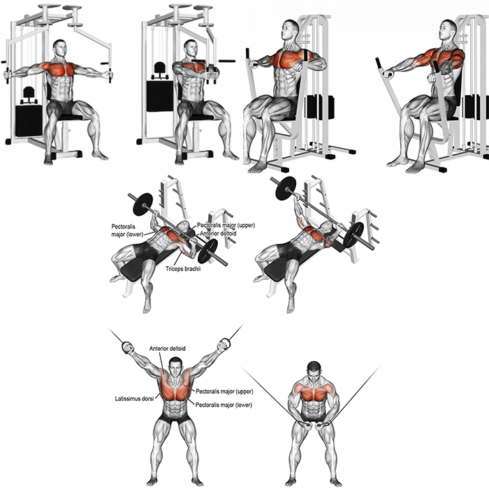 دستگاه های بدنسازی در باشگاه ورزشی برای تقویت عضلات سینه 