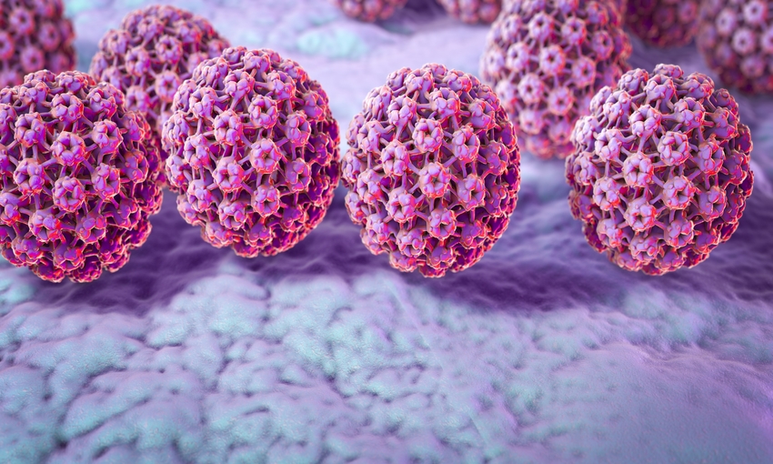 ویروس پاپیلومای انسانی یا HPV چیست؟