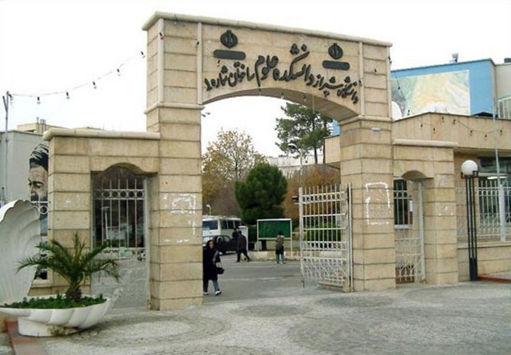 تاریخچه و معرفی دانشگاه شیراز