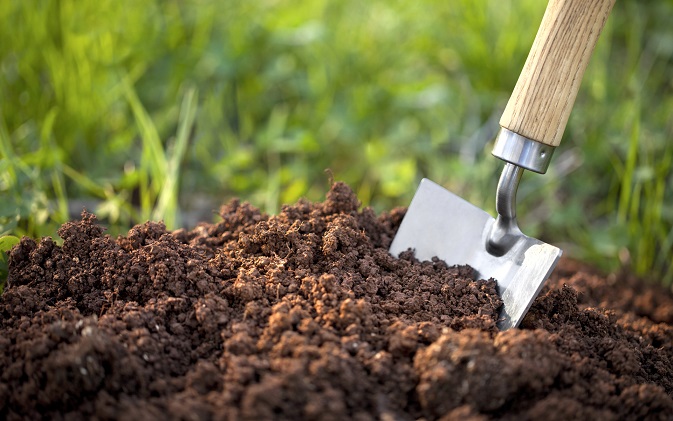 خاک مناسب برای رشد گیاهان خانگی کدام است ؟