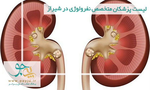 لیست پزشکان متخصص نفرولوژی در شیراز