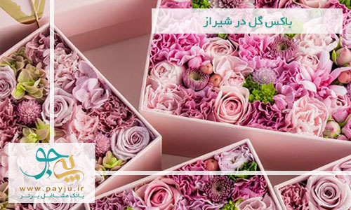 باکس گل در شیراز