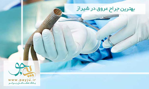 بهترین جراح عروق در شیراز