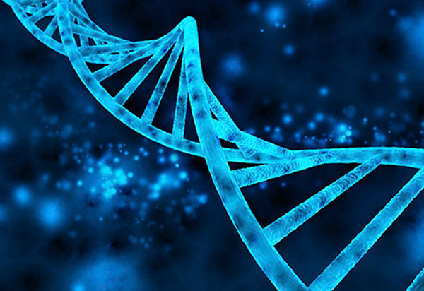 از کجا بفهمیم که DNA کارآفرینی داریم؟