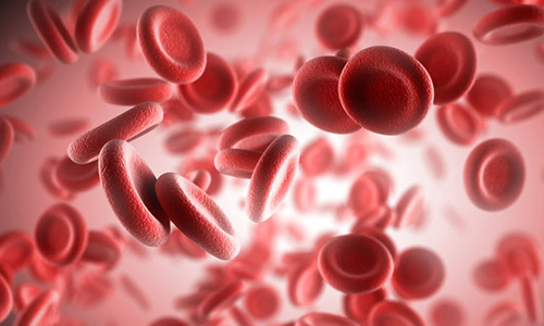 تسهیل درمان ناباروری با استفاده از سلول‌های بنیادی خون قاعدگی