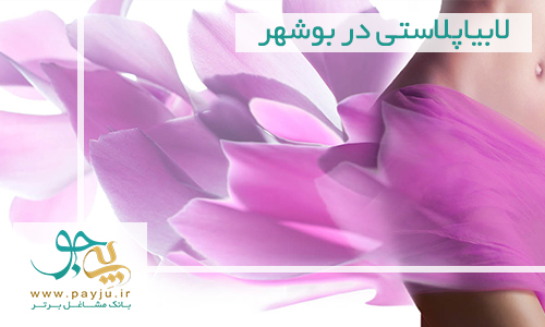 جوانسازی واژن و لابیاپلاستی در بوشهر