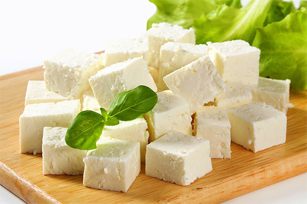 روش های نگهداری از پنیر در خانه