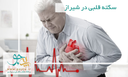 بهترین دکتر سکته قلبی در شیراز