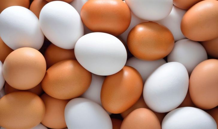 چگونه تخم مرغ تازه را از تخم مرغ کهنه تشخیص دهیم ؟