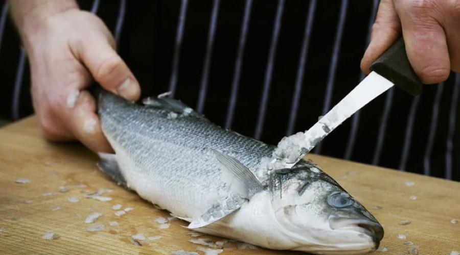  بهترین روش پاک کردن ماهی تازه چیست ؟