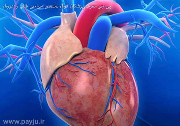 پزشکان فوق تخصص جراحی قلب و عروق در شیراز