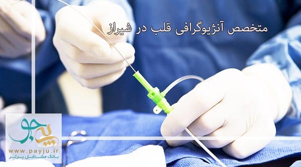 متخصص آنژیوگرافی قلب در شیراز