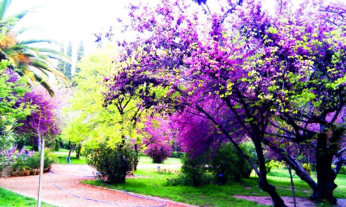 باغ ارم ؛ زیبایی چهار فصل شیراز