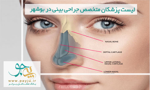 متخصص جراحی بینی در بوشهر