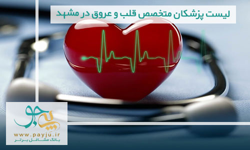 لیست پزشکان متخصص قلب و عروق در مشهد