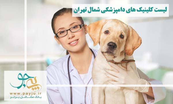 لیست کلینیک دامپزشکی در سایر مناطق تهران