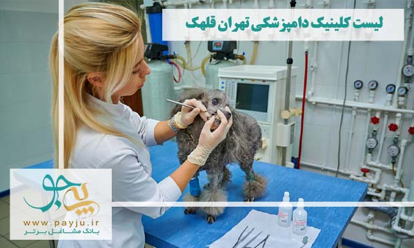 آرایشگاه دامپزشکی در قلهک تهران