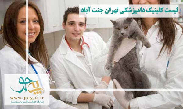 چه خدماتی در کلینیک های دامپزشکی تهران جنت آباد ارائه می گردد؟