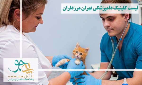 چه خدماتی در کلینیک های دامپزشکی تهران مرزداران ارائه می گردد؟