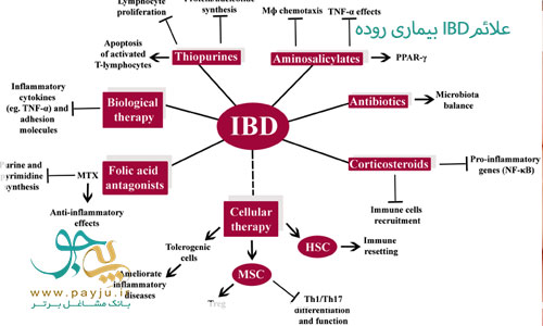  بیماری التهاب روده (IBD) 