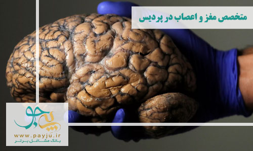 متخصص مغز و اعصاب در پردیس تهران