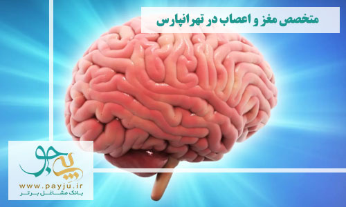 متخصص مغز و اعصاب در تهرانپارس 