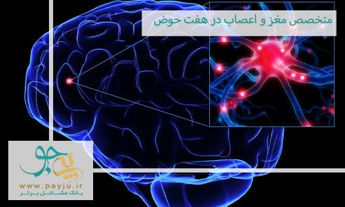 متخصص مغز و اعصاب در هفت حوض تهران