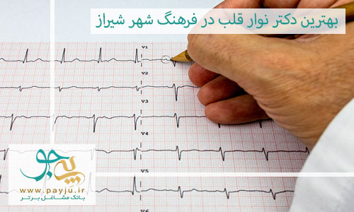 بهترین دکتر نوار قلب در فرهنگ شهر شیراز