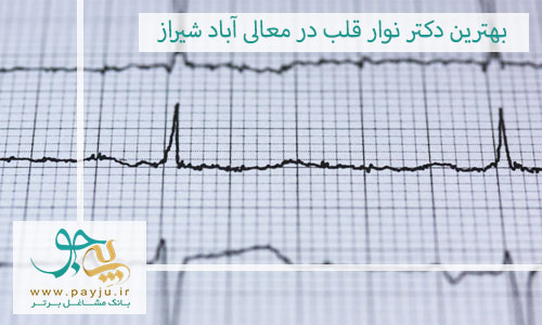 بهترین دکتر نوار قلب در معالی آباد شیراز