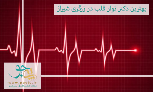 بهترین دکتر نوار قلب در زرگری شیراز