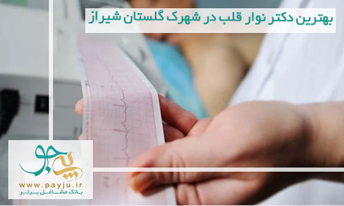 بهترین دکتر نوار قلب در شهرک گلستان شیراز