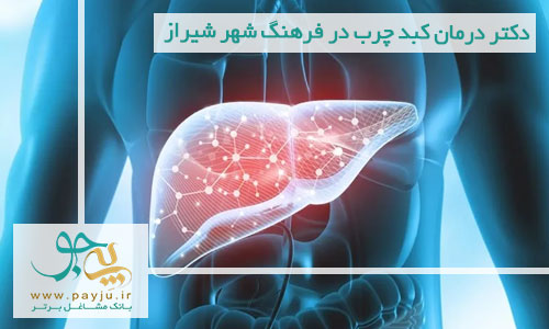 بهترین دکتر درمان کبد چرب در فرهنگ شهر شیراز