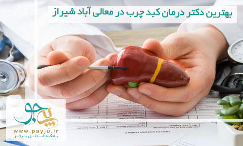 بهترین دکتر درمان کبد چرب در معالی آباد شیراز