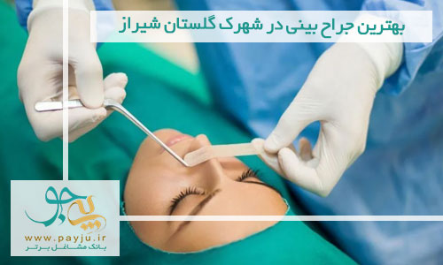 جراح بینی در شهرک گلستان شیراز