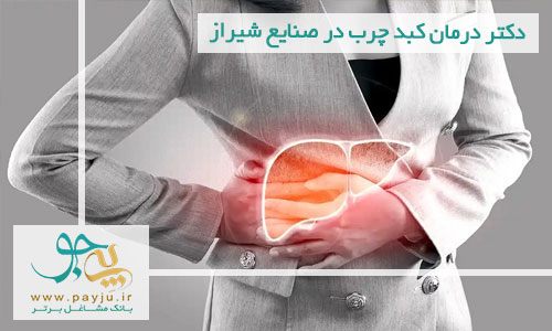 بهترین دکتر درمان کبد چرب در صنایع شیراز