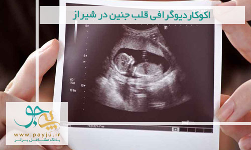 اکوکاردیوگرافی قلب جنین در شیراز